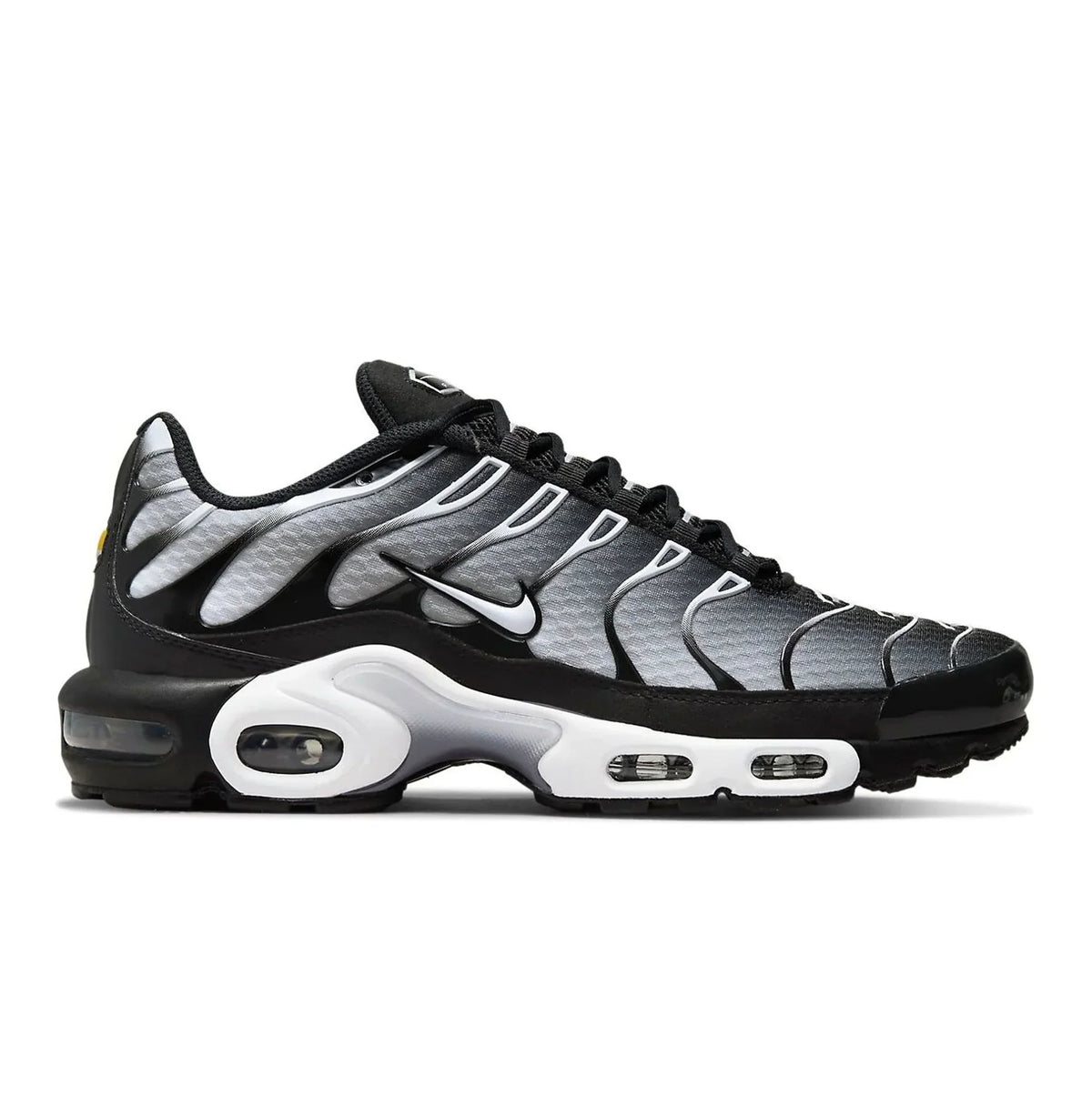 Nike Air Max Plus "Black Silver"